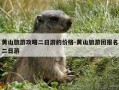 黄山旅游攻略二日游的价格-黄山旅游团报名二日游