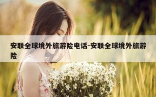 安联全球境外旅游险电话-安联全球境外旅游险