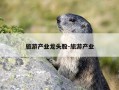 旅游产业龙头股-旅游产业