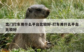 出门打车用什么平台比较好-打车用什么平台比较好