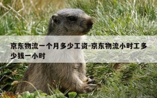 京东物流一个月多少工资-京东物流小时工多少钱一小时