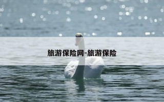旅游保险网-旅游保险