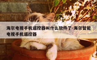 海尔电视手机遥控器叫什么软件了-海尔智能电视手机遥控器