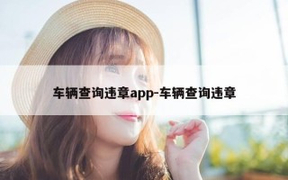 车辆查询违章app-车辆查询违章
