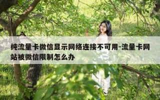 纯流量卡微信显示网络连接不可用-流量卡网站被微信限制怎么办