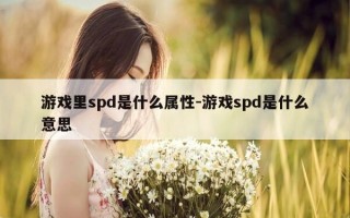游戏里spd是什么属性-游戏spd是什么意思