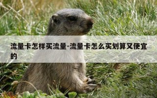 流量卡怎样买流量-流量卡怎么买划算又便宜的
