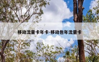 移动流量卡年卡-移动包年流量卡