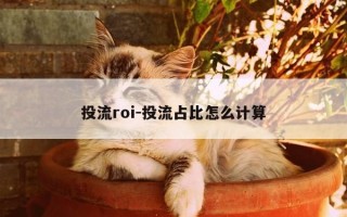 投流roi-投流占比怎么计算