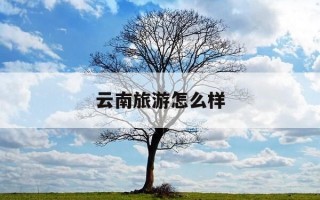 云南旅游怎么样-云南哪里旅游比较好