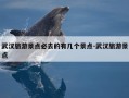 武汉旅游景点必去的有几个景点-武汉旅游景点