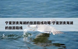 宁夏到青海湖的旅游路线攻略-宁夏到青海湖的旅游路线