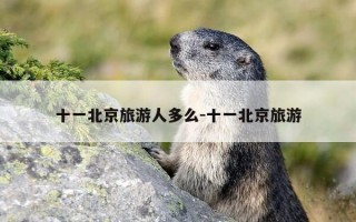 十一北京旅游人多么-十一北京旅游