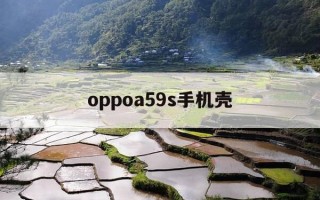 oppoa59s手机壳-oppoa59s手机壳中国风