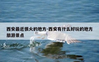 西安最近很火的地方-西安有什么好玩的地方旅游景点