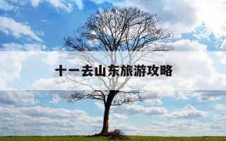 十一去山东旅游攻略-十一山东旅游推荐好去处