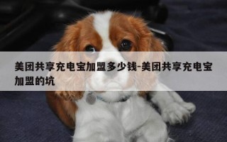 美团共享充电宝加盟多少钱-美团共享充电宝加盟的坑