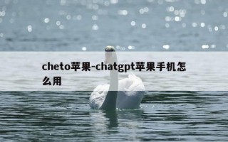 cheto苹果-chatgpt苹果手机怎么用
