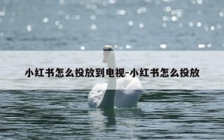 小红书怎么投放到电视-小红书怎么投放