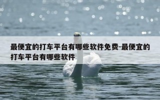 最便宜的打车平台有哪些软件免费-最便宜的打车平台有哪些软件