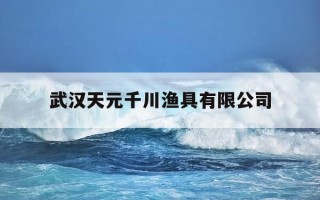 武汉天元千川渔具有限公司-武汉天元千川渔具有限公司营业额