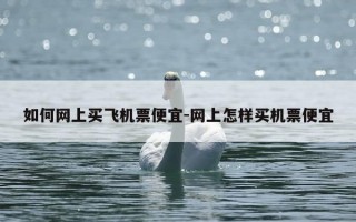 如何网上买飞机票便宜-网上怎样买机票便宜