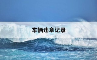 车辆违章记录-车辆违章记录多久能查到