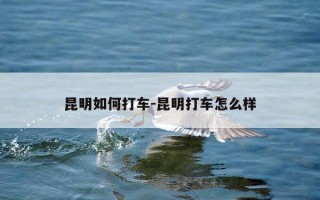 昆明如何打车-昆明打车怎么样