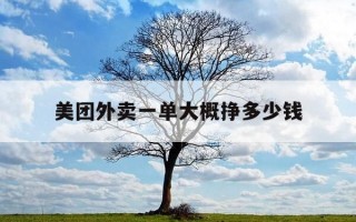 美团外卖一单大概挣多少钱-美团外卖一单大概挣多少钱啊