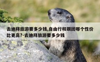 去迪拜旅游要多少钱,自由行和跟团哪个性价比更高?-去迪拜旅游要多少钱