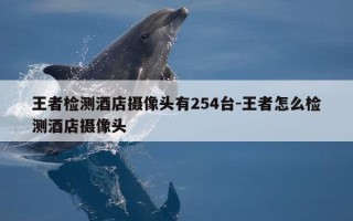 王者检测酒店摄像头有254台-王者怎么检测酒店摄像头