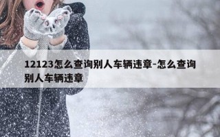 12123怎么查询别人车辆违章-怎么查询别人车辆违章