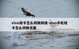 vivo双卡怎么切换网络-vivo手机双卡怎么切换流量