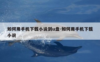 如何用手机下载小说到u盘-如何用手机下载小说