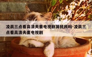 凌晨三点看高清夫妻电视剧算扰民吗-凌晨三点看高清夫妻电视剧