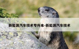 新能源汽车技术专升本-新能源汽车技术