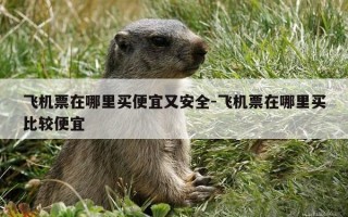 飞机票在哪里买便宜又安全-飞机票在哪里买比较便宜