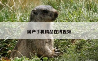 国产手机精品在线视频