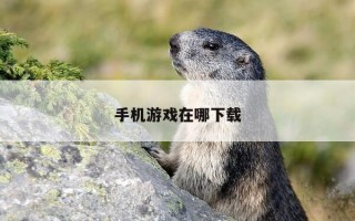 手机游戏在哪下载