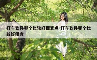 打车软件哪个比较好便宜点-打车软件哪个比较好便宜
