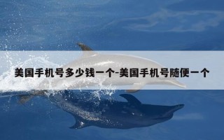 美国手机号多少钱一个-美国手机号随便一个