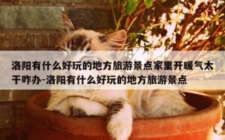 洛阳有什么好玩的地方旅游景点家里开暖气太干咋办-洛阳有什么好玩的地方旅游景点