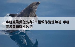 手机壳发黄怎么办?一招教你清洗如初-手机壳发黄清洗小妙招