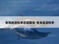 青海旅游旺季总结报告-青海旅游旺季