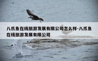 八爪鱼在线旅游发展有限公司怎么样-八爪鱼在线旅游发展有限公司