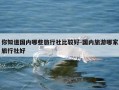 你知道国内哪些旅行社比较好-国内旅游哪家旅行社好