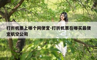 打折机票上哪个网便宜-打折机票在哪买最便宜航空公司