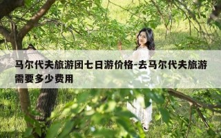 马尔代夫旅游团七日游价格-去马尔代夫旅游需要多少费用