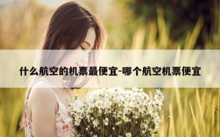 什么航空的机票最便宜-哪个航空机票便宜