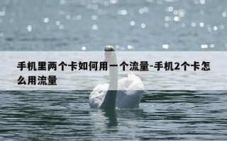 手机里两个卡如何用一个流量-手机2个卡怎么用流量